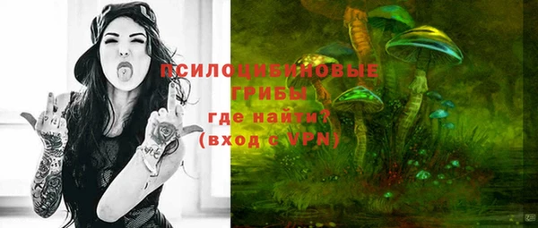 крисы Беломорск