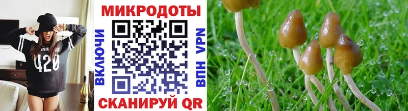 Купить где  Камызяк  Галлюциногенные грибы MAGIC MUSHROOMS 
