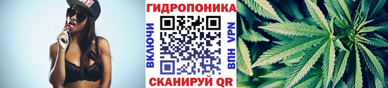 Шишки марихуана семена  Купить закладки  Камызяк 